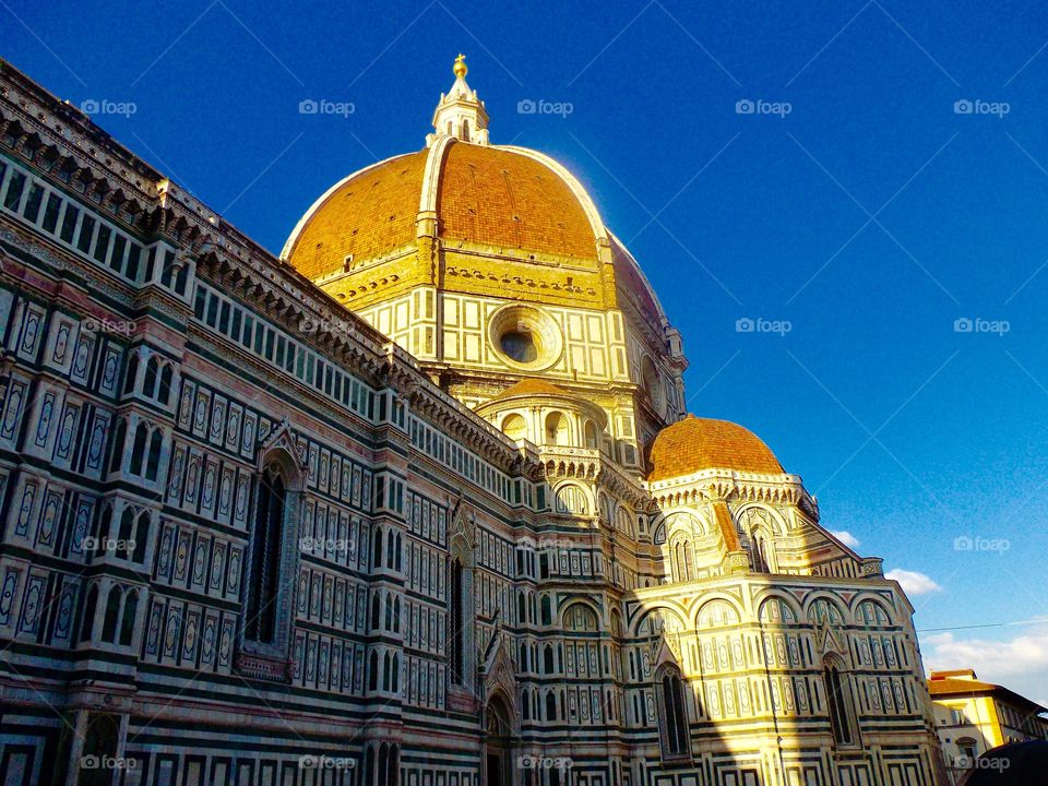 Florence 
