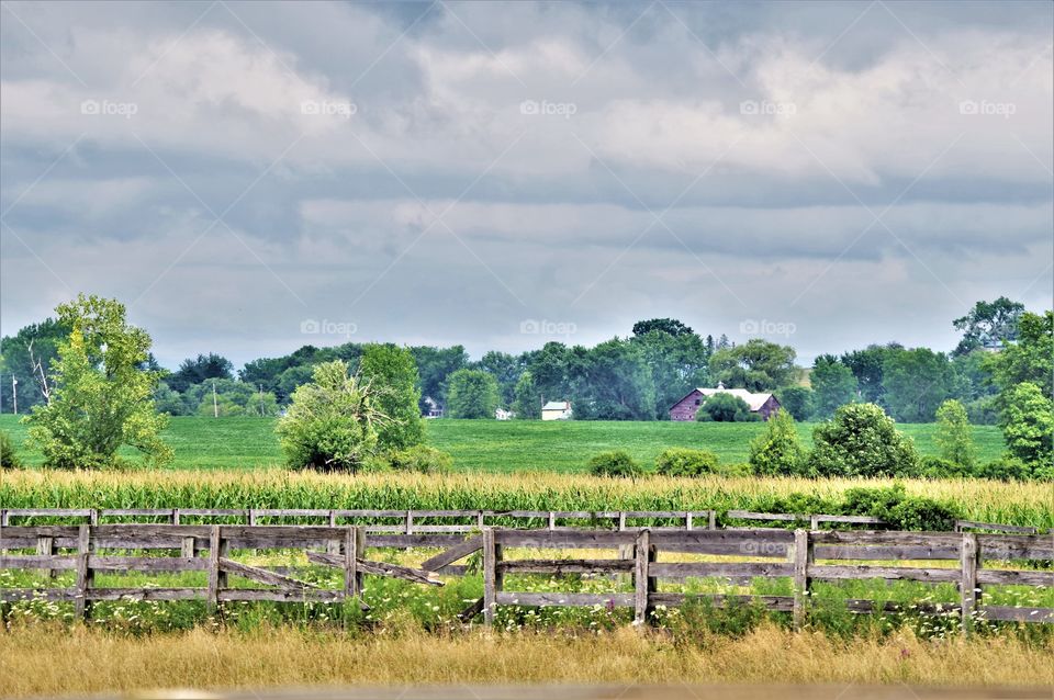 Country Landscape