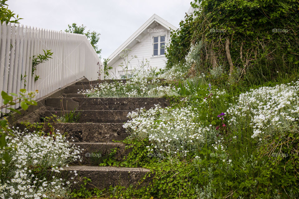 White house, white flowers. 