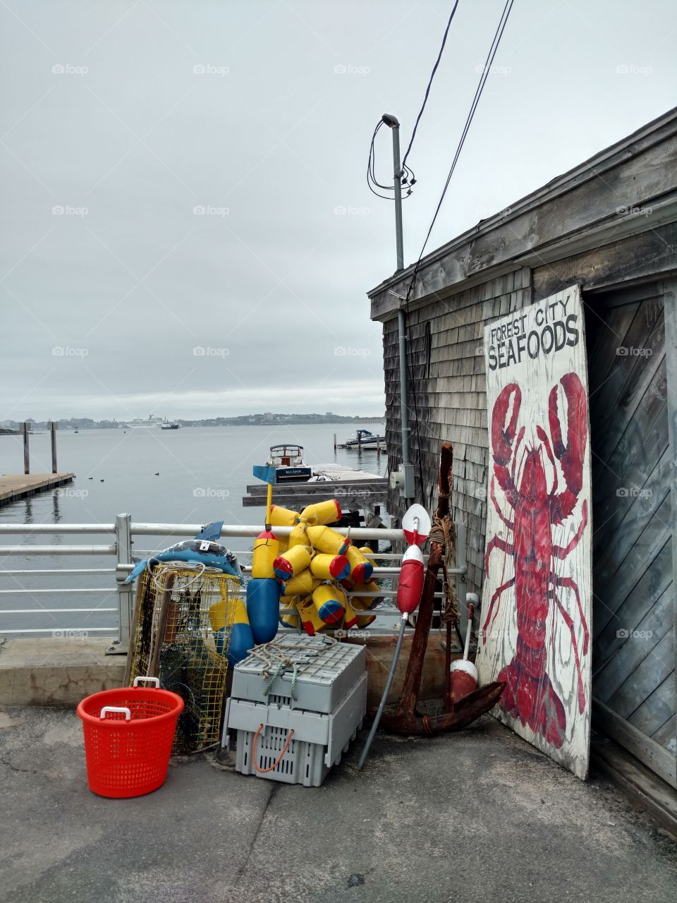 Maine Coast Lobster