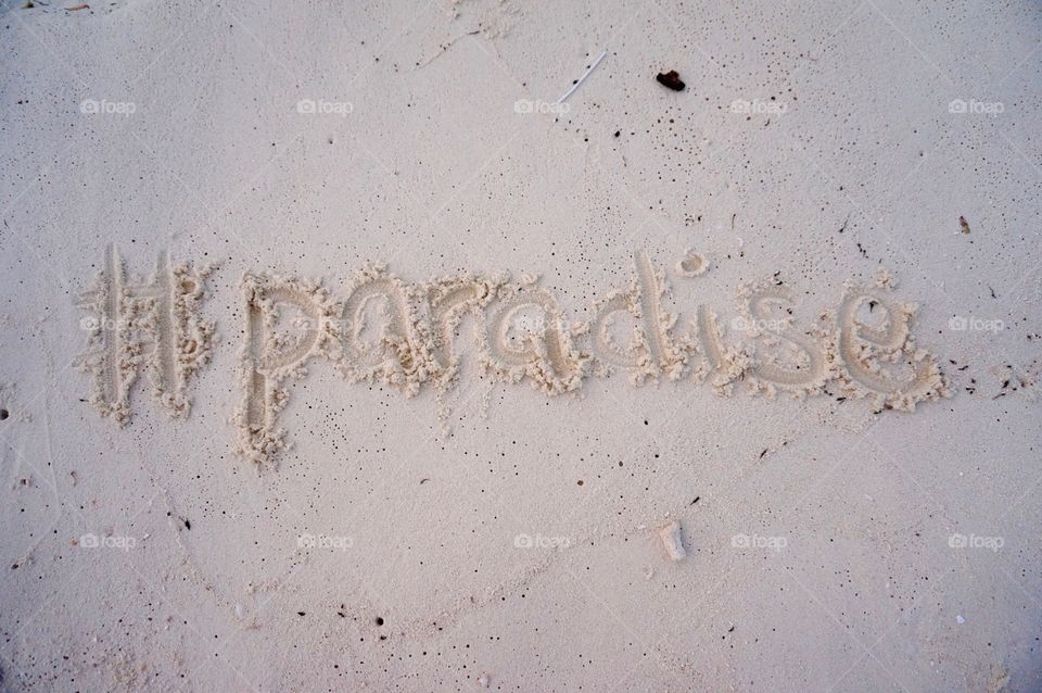 hashtag paradise