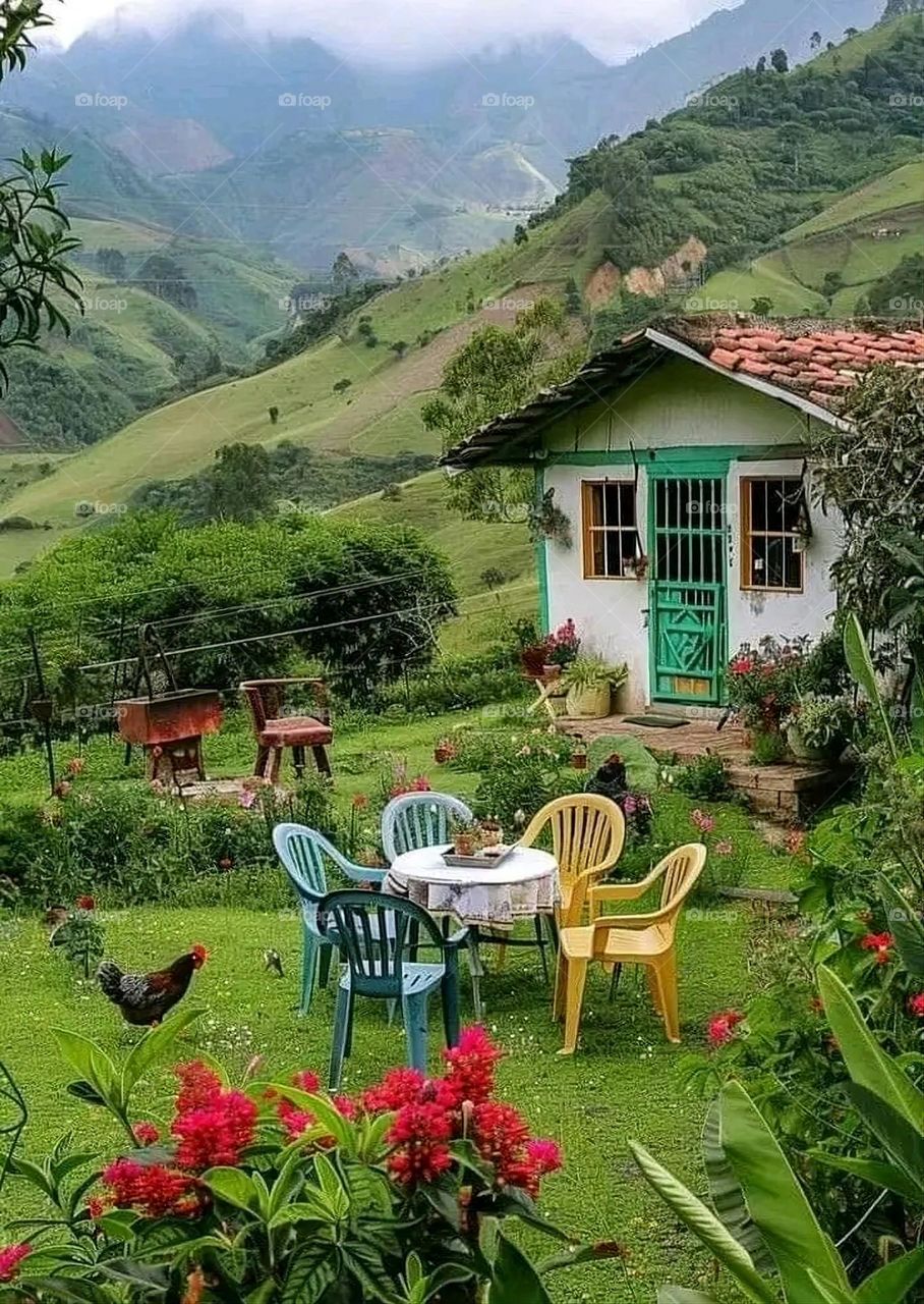A very beautiful picture, and there is no better picture than it. There is no better picture of green herbs and colorful, red and white roses than it. Glory be to God, the natural and picturesque view, and there is no more
