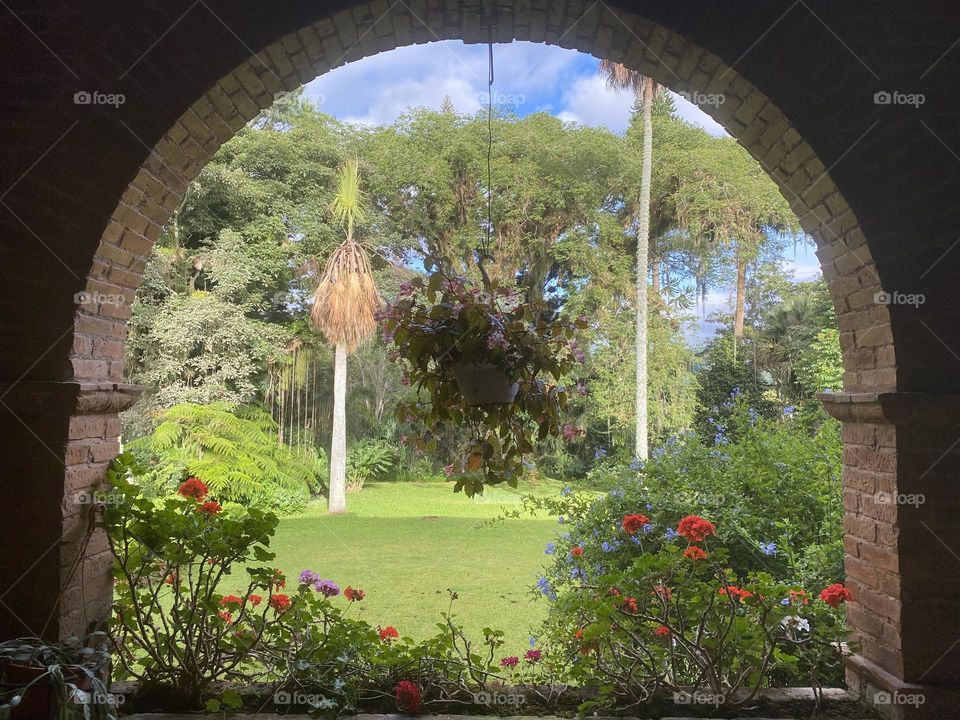 In a 100 year old farm in Costa Rica, the view from the terrace through this brick ark of the front garden showcases a very old and grand central tree and all the nature that surrounds it 