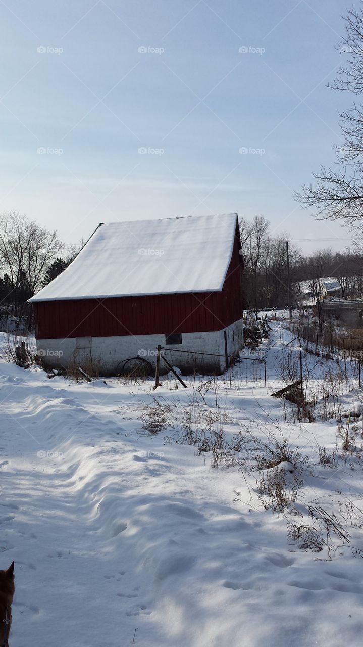 Barn during winter