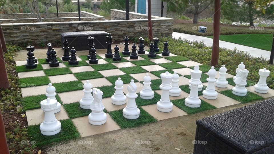 A Game Of Chess Anyone?. Giant Chess Board