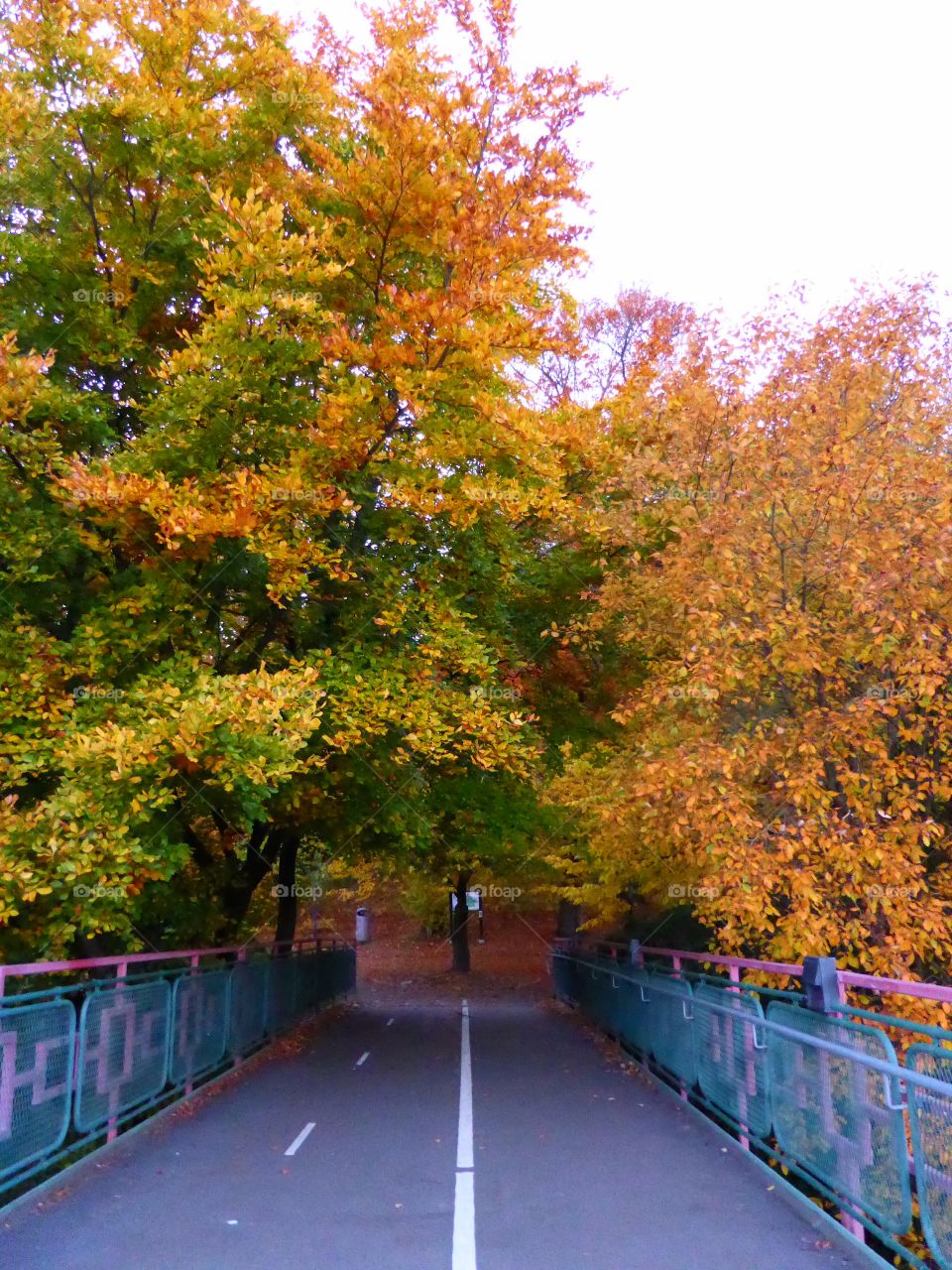 Autumn in Gothenburg Sweden
