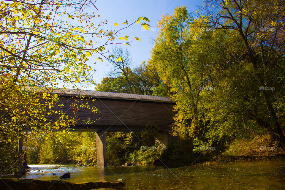  Covered Bridge 