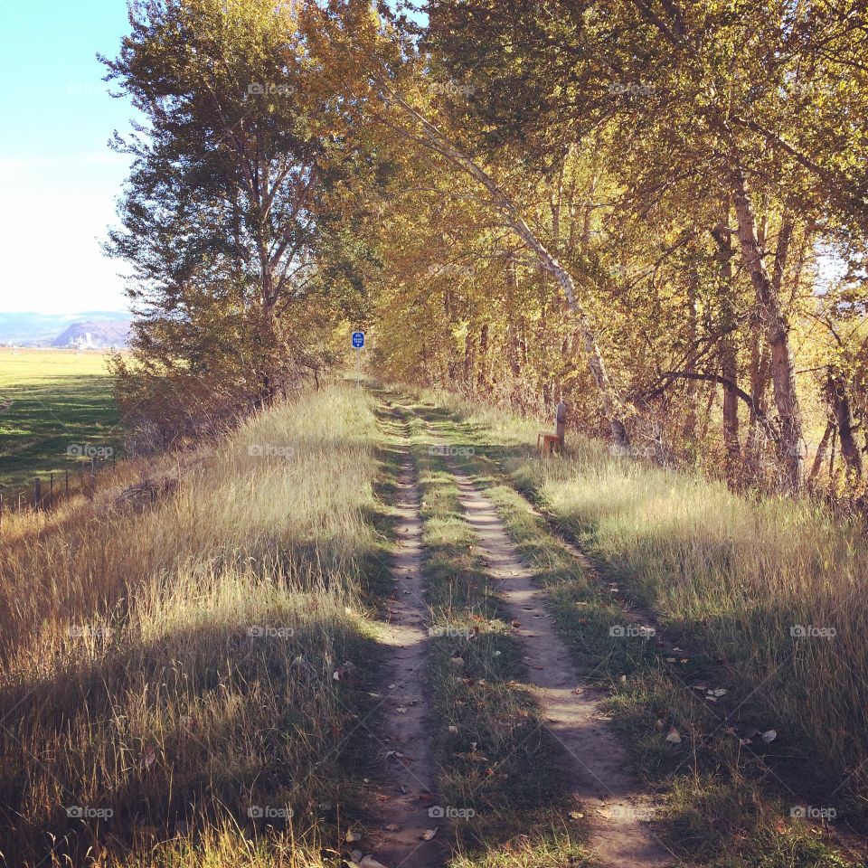Morning hike with a friend! 