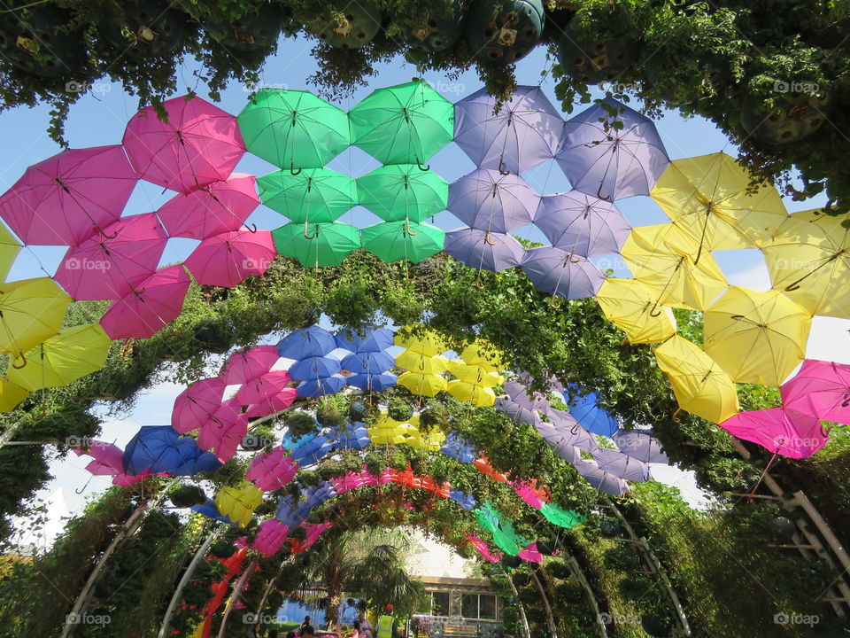 Cute multicoloured umbrella ceiling at butterfly garden.