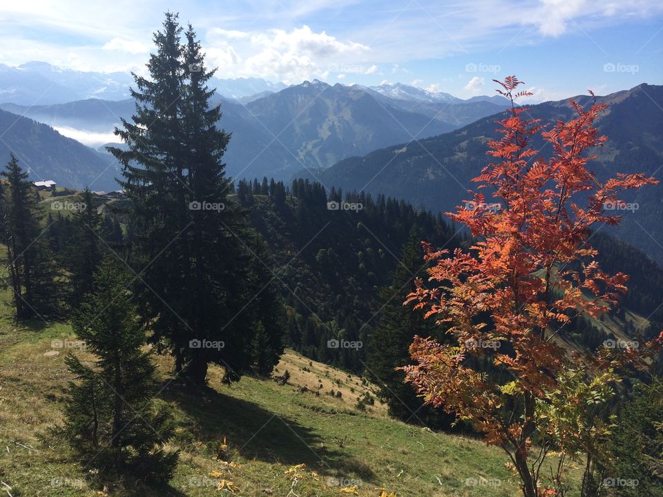 Un automne en montagne