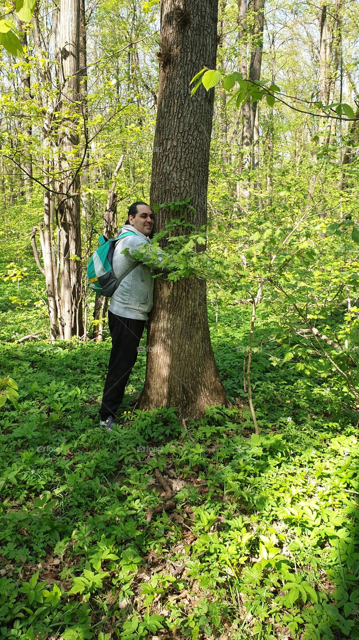 Tree hug