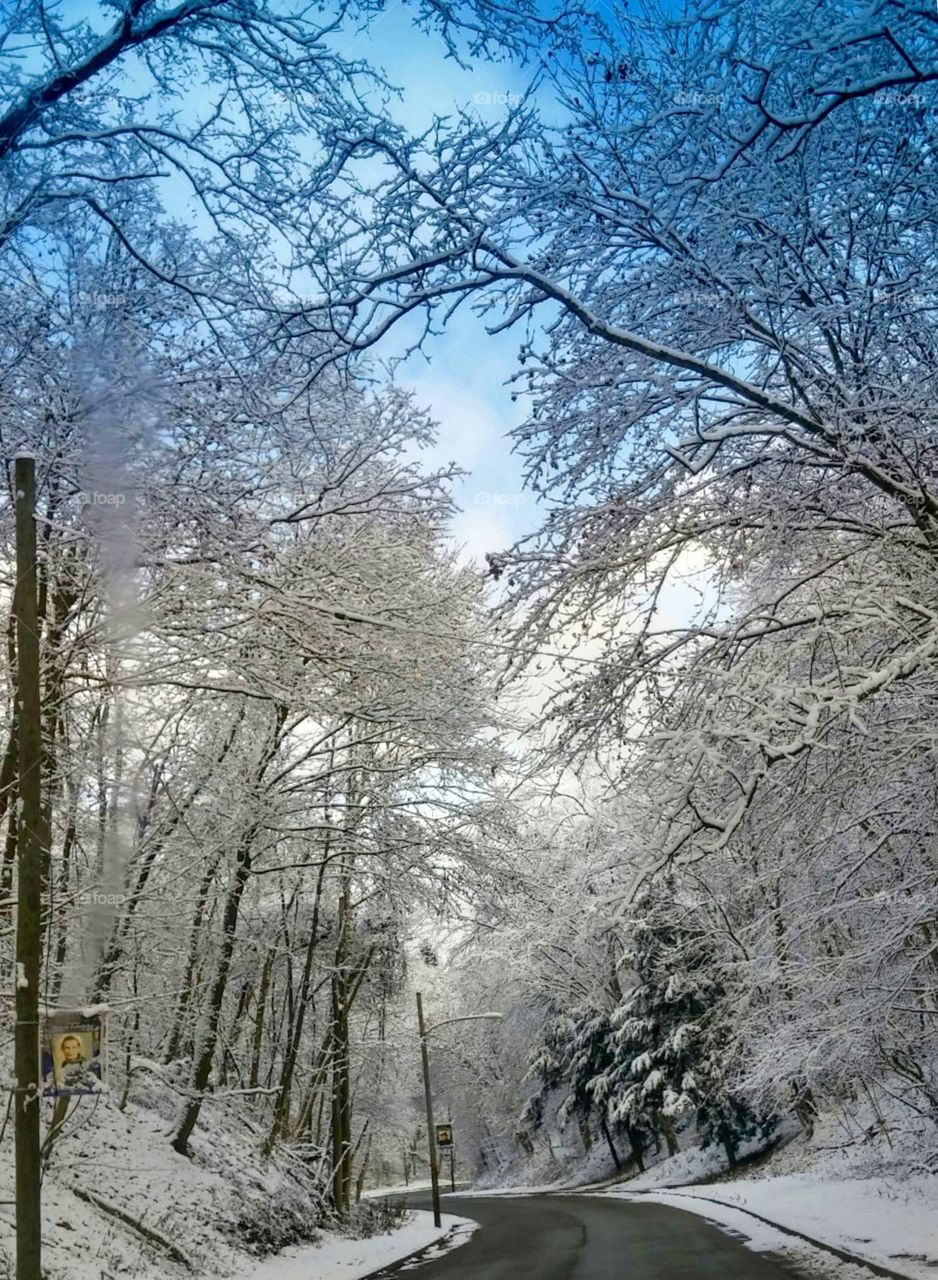 Snowy Road and Blue Sky