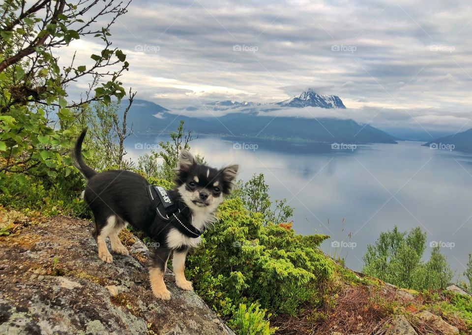 Hiking in spring 