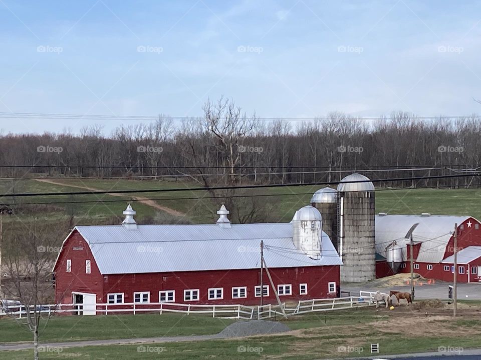 Barn life