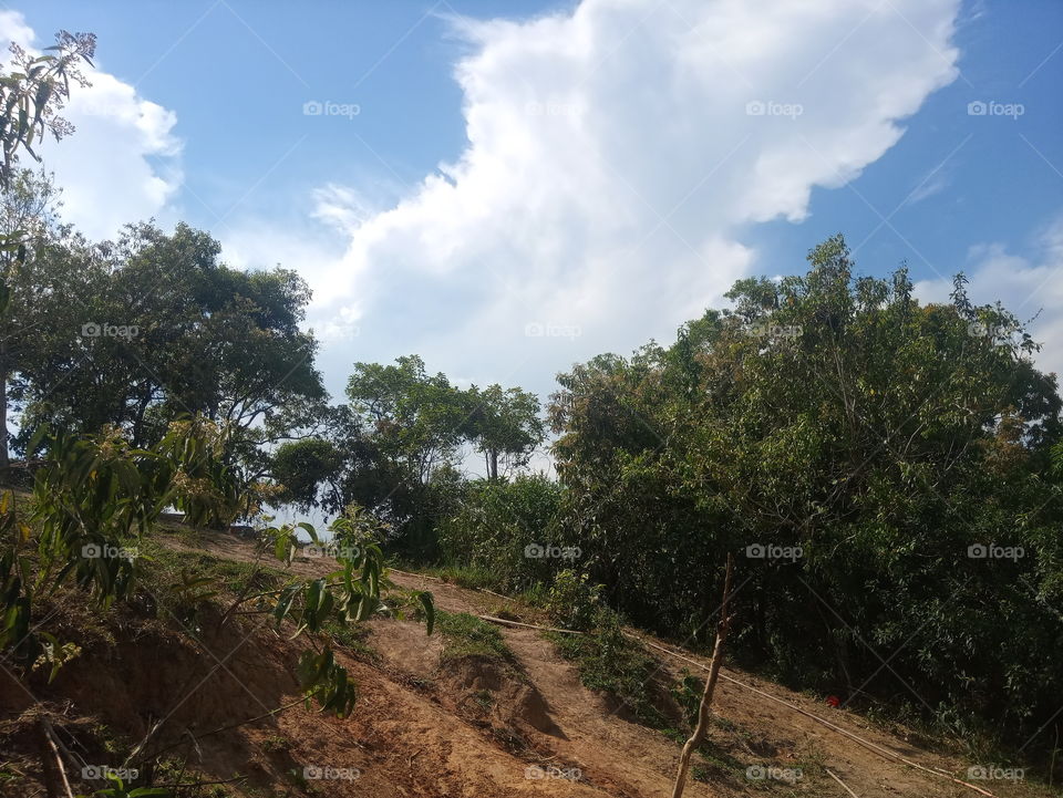 Magé Parque Estrela RJ