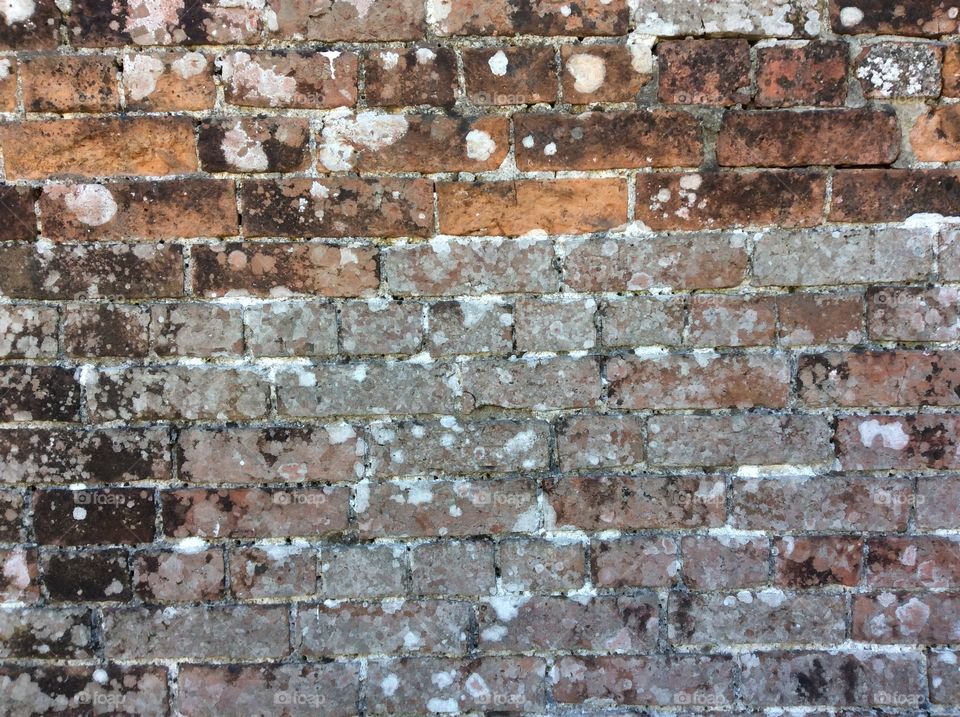 Herefordshire Brick Wall