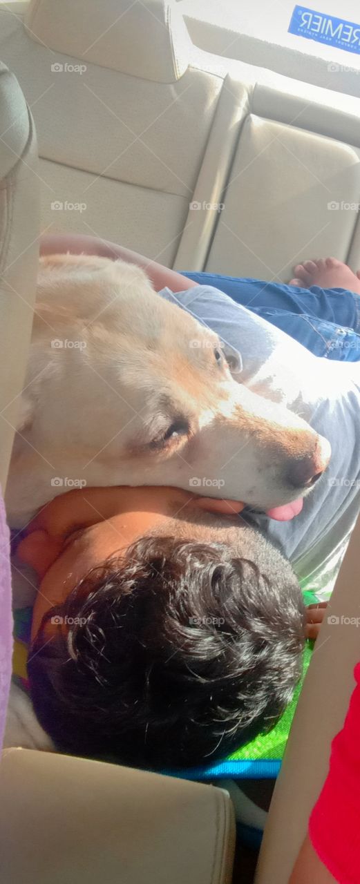 a true bonding between two selfless individuals a child and a pet