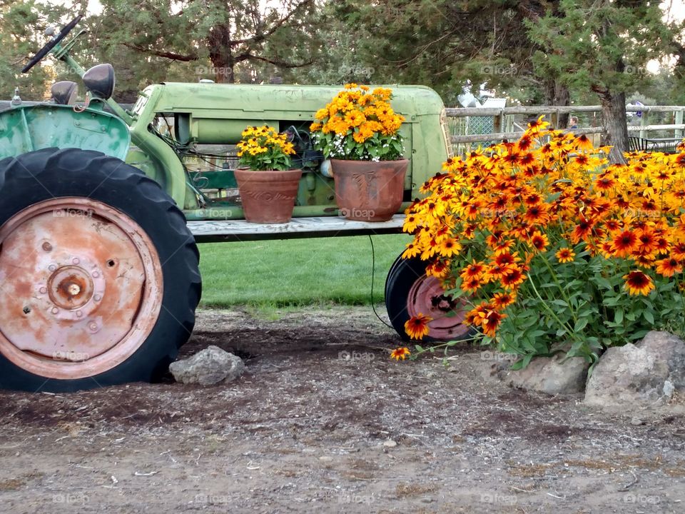 Flowering Tractor