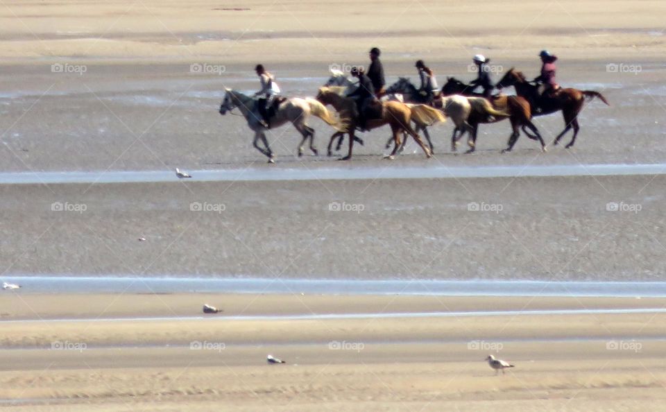 horseriding on the beach 
