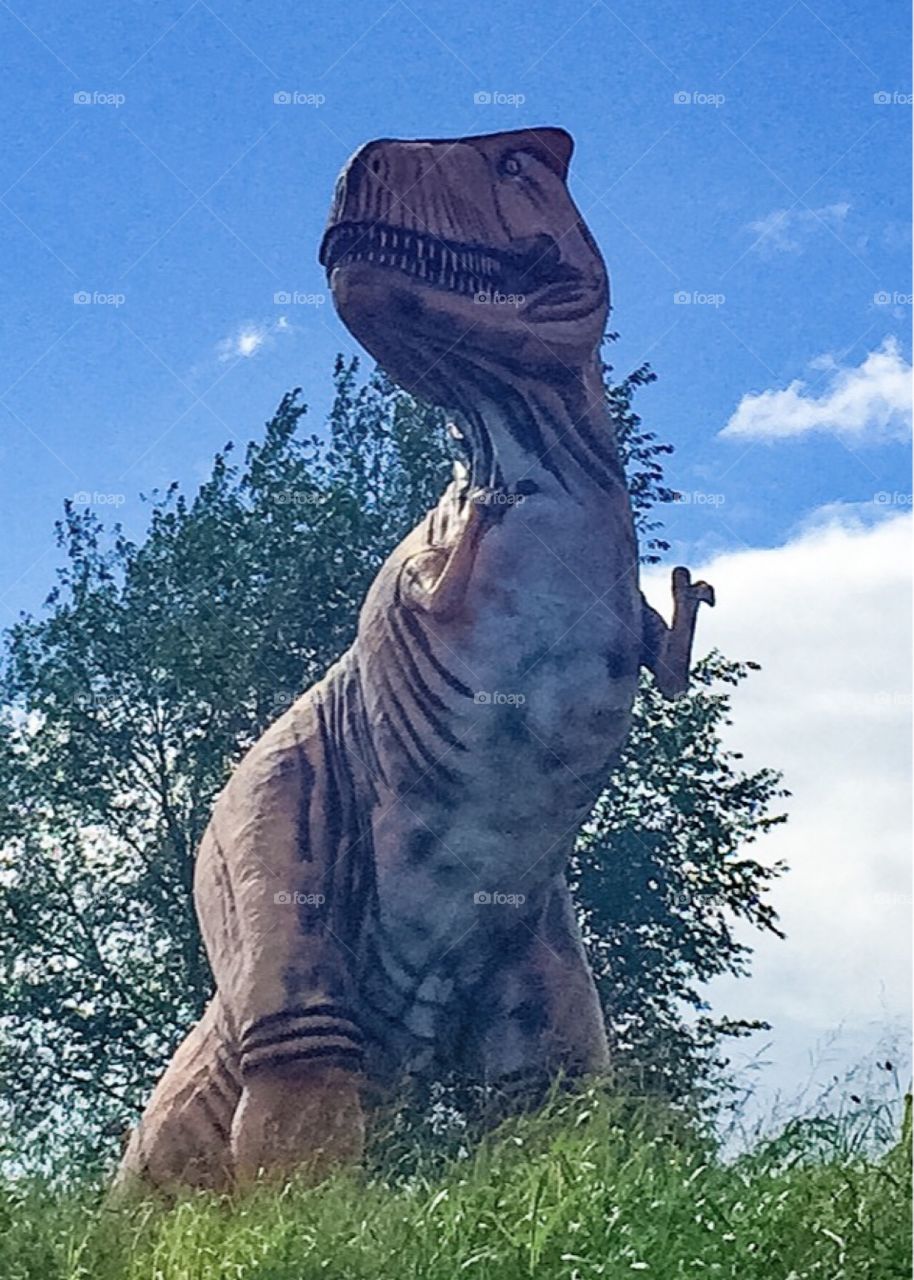 T Rex dinosaur