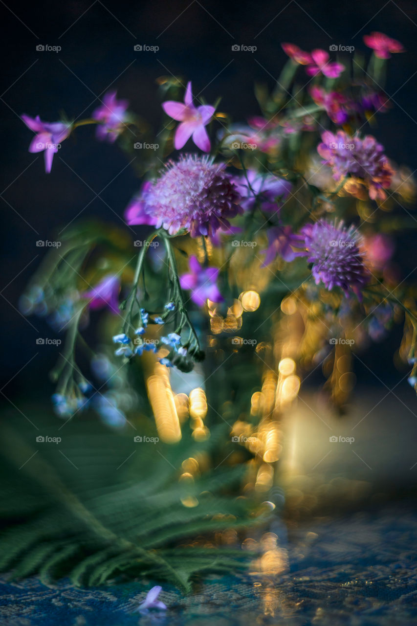 Bouquet of forest flowers in soft focus