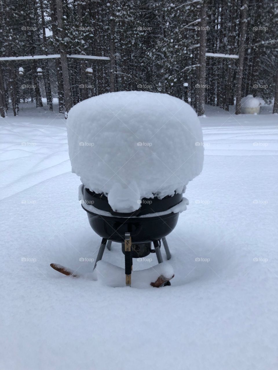 Snow covered grill 