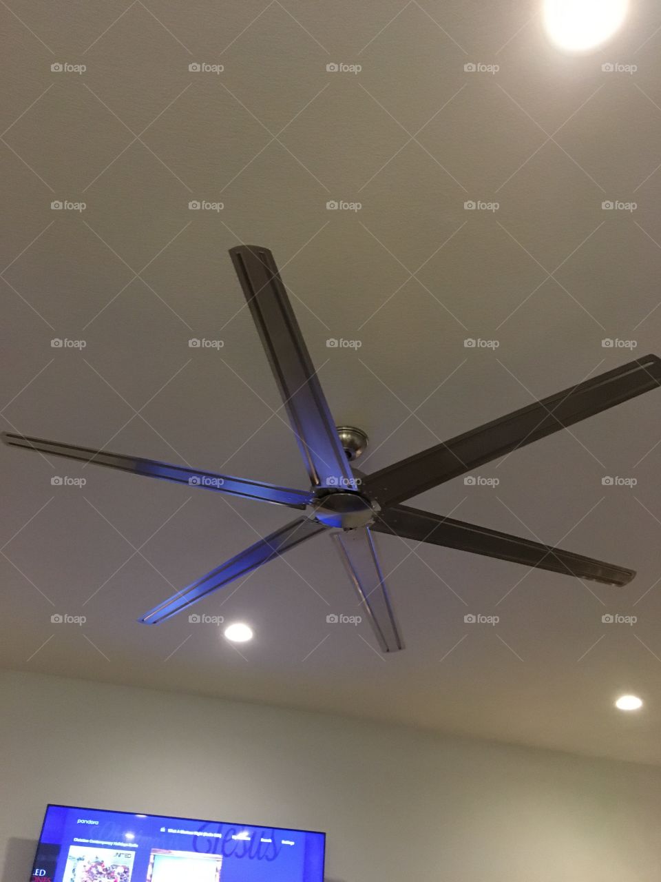 Ceiling fan