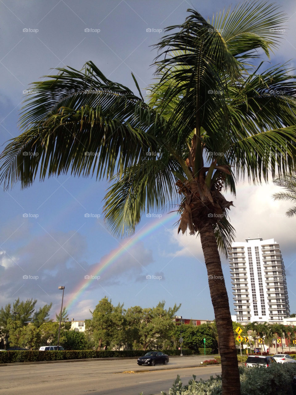 clouds rainbow palmtree miami by all4nyny