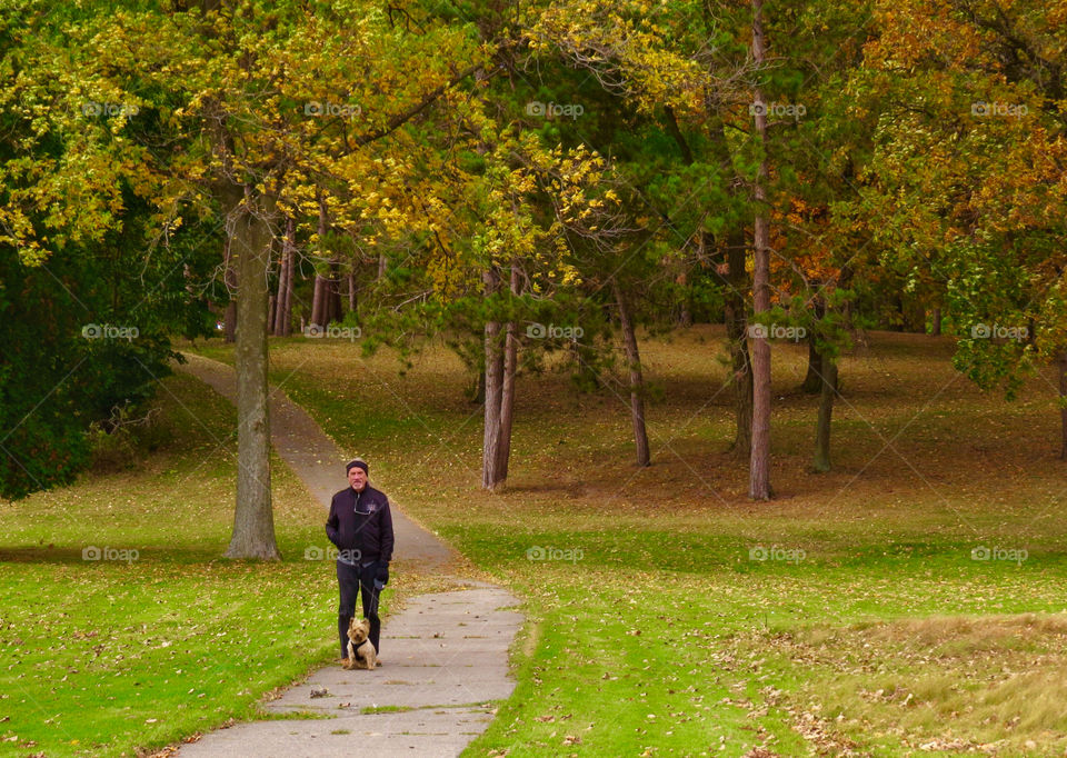 Walking Sophie. Walking Sophie with Jerry on an autumn day