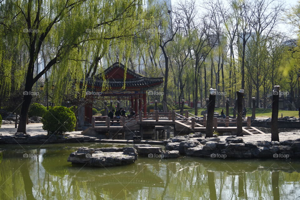 Asia China Beijing Ritan Park chinese temple temple park chinese culture chinese building in spring green trees by a lake