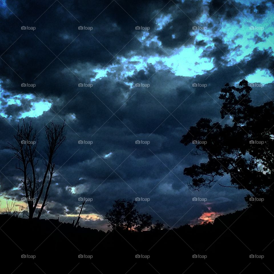 Tree, Sunset, Landscape, No Person, Storm
