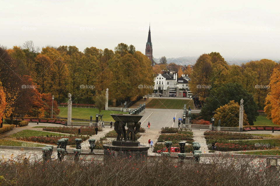 norway tree autumn oslo by nader_esk