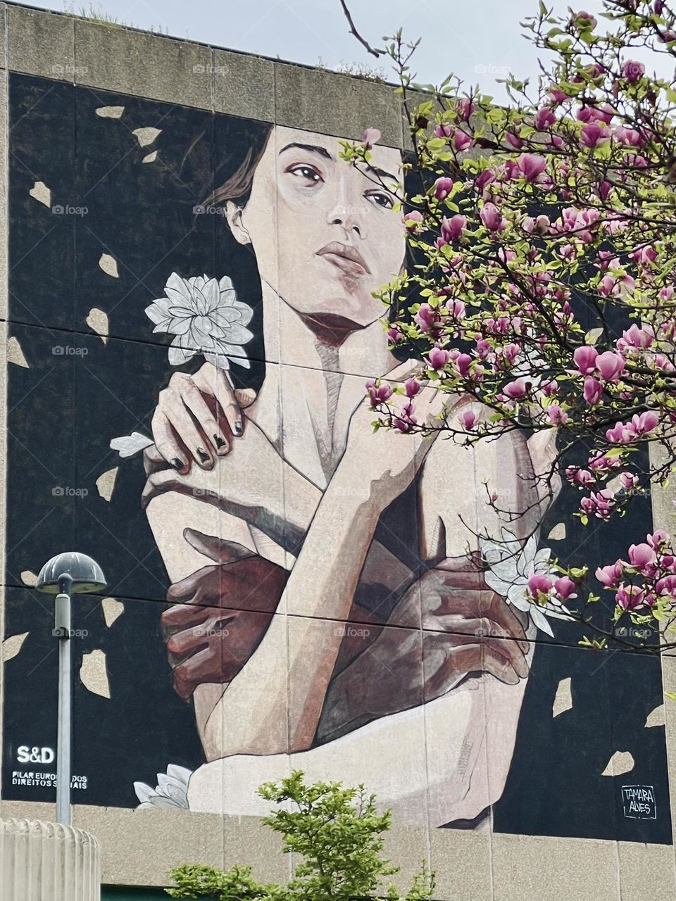 Graffiti in the city