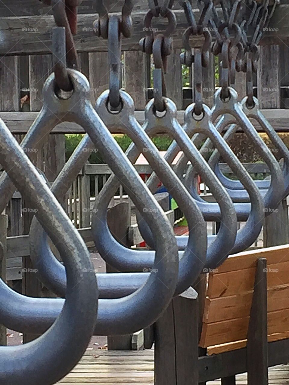 Monkeying Around at the Park
