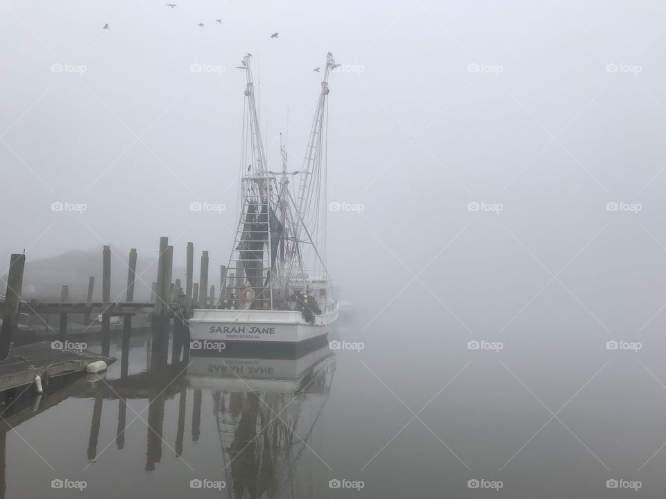 Shrimp boat in dog