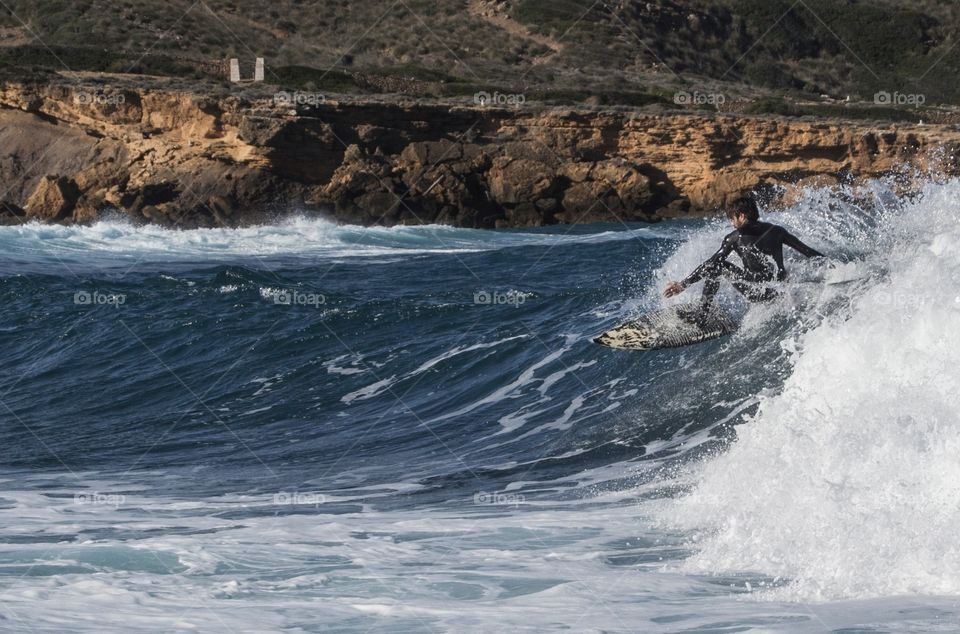 Doggie surfin 