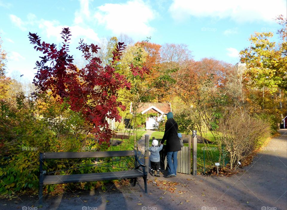 Walking in the botanic garden in Gothenburg