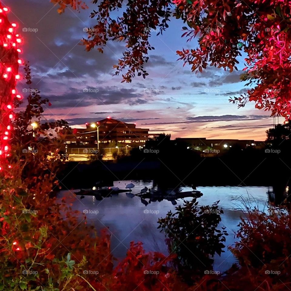 A colorful sunset is photographed through red lit trees