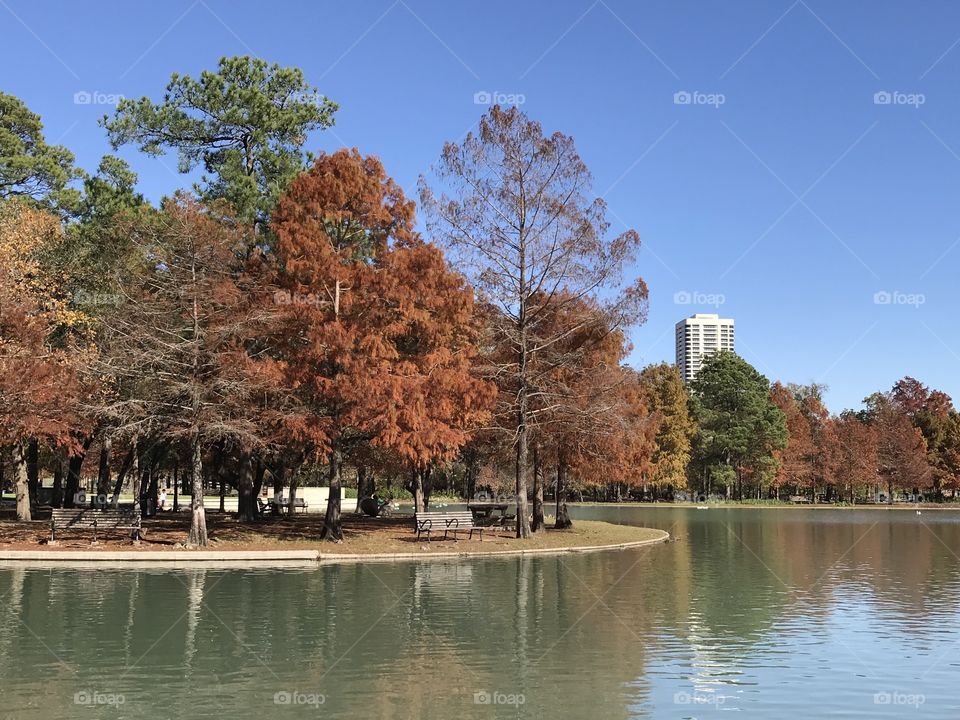 Fall colors on Houston 