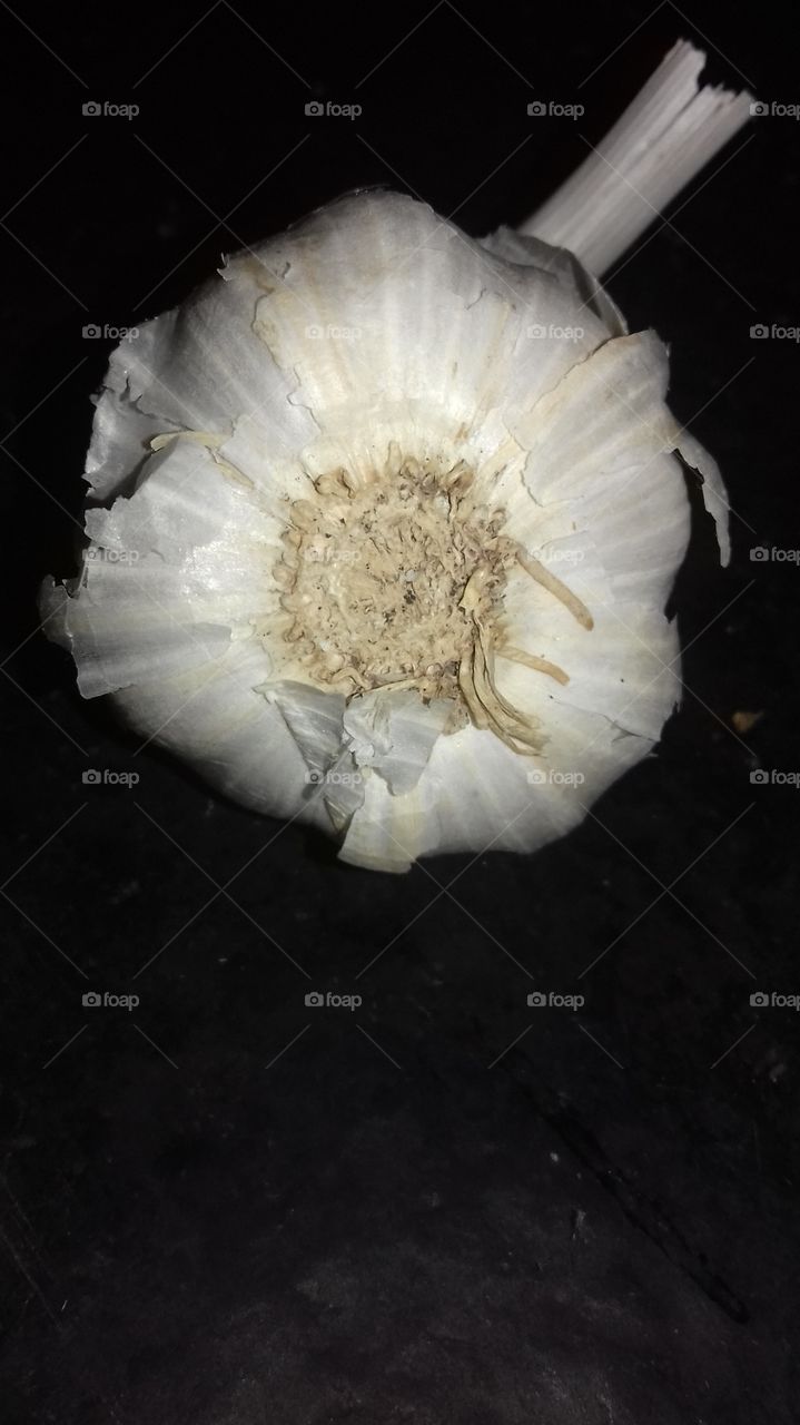 combination of black and white