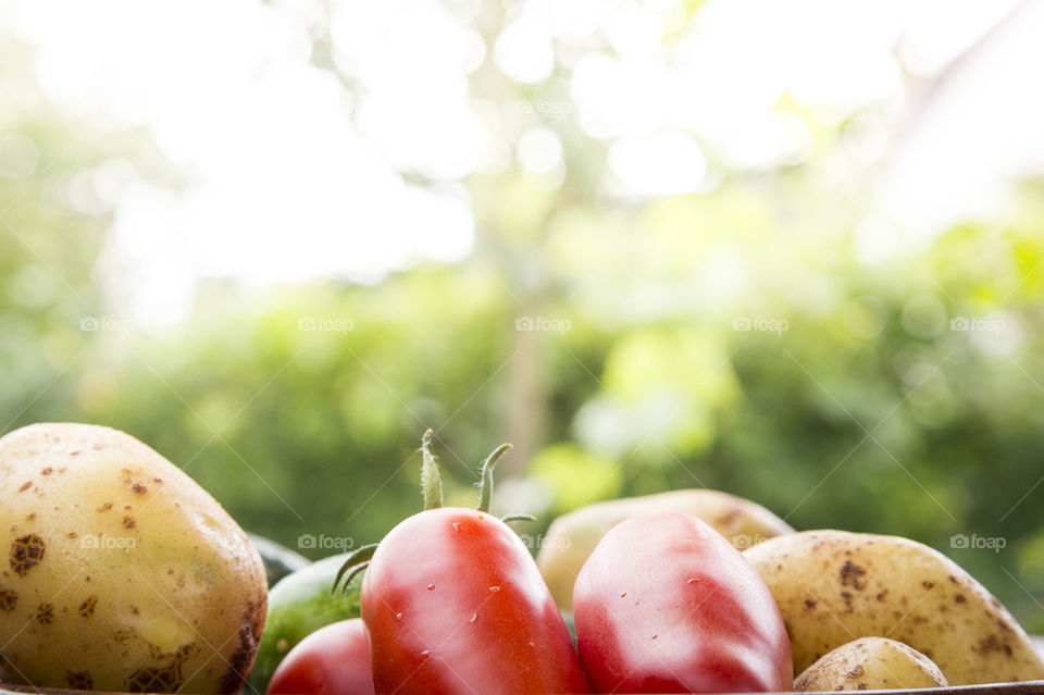 Vegetables from garde