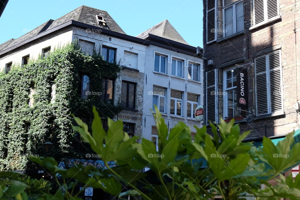 In the center of Antwerp