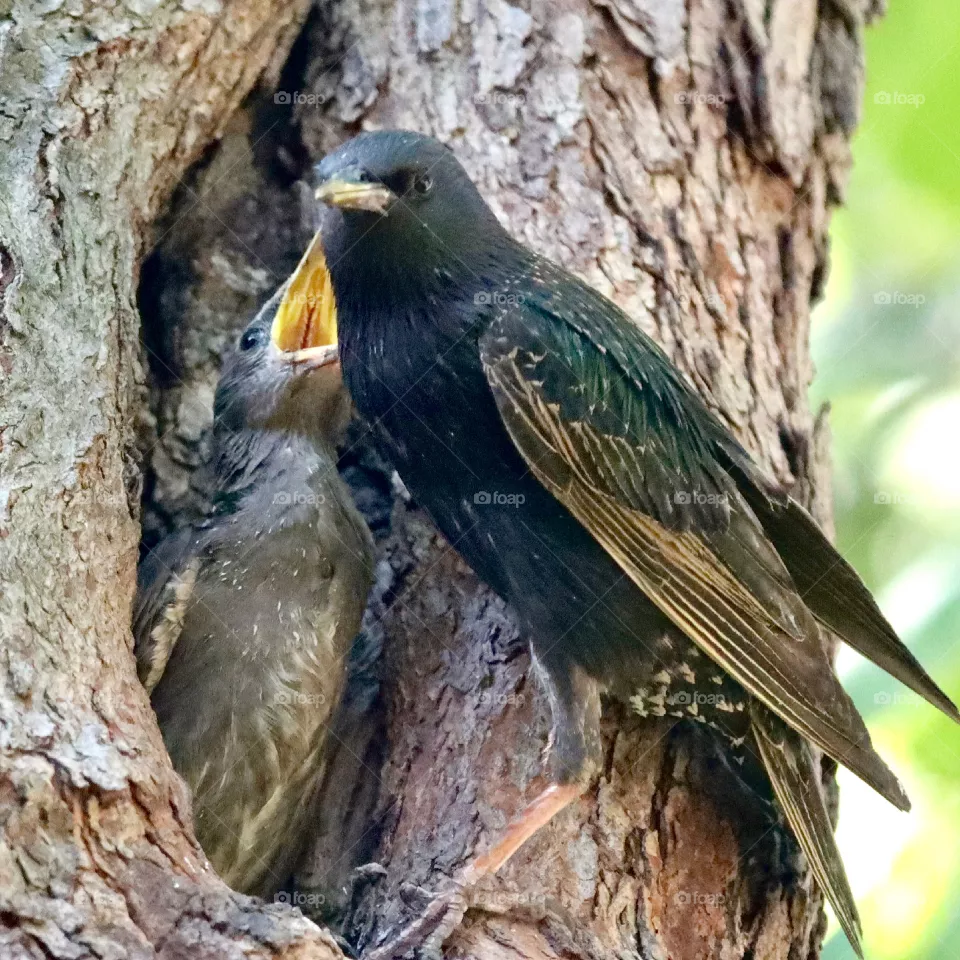 Mother and baby 