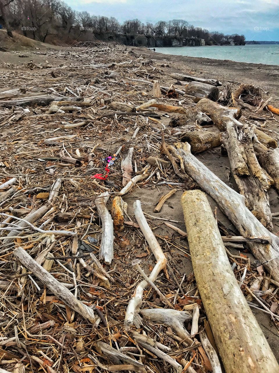 Drift wood