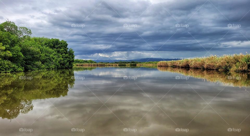Reflection on River of trees and sky