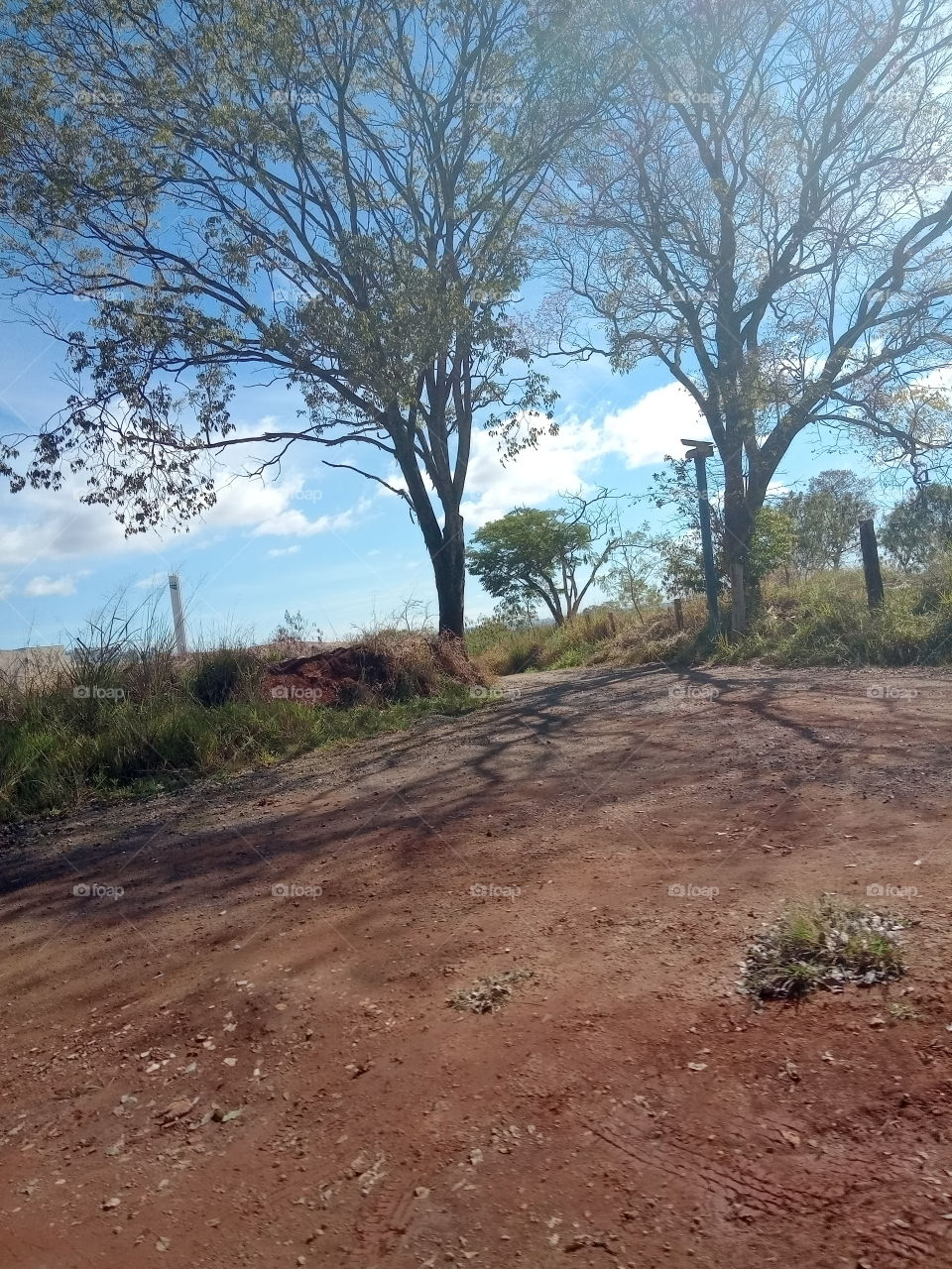 A Natureza e seus encantos!