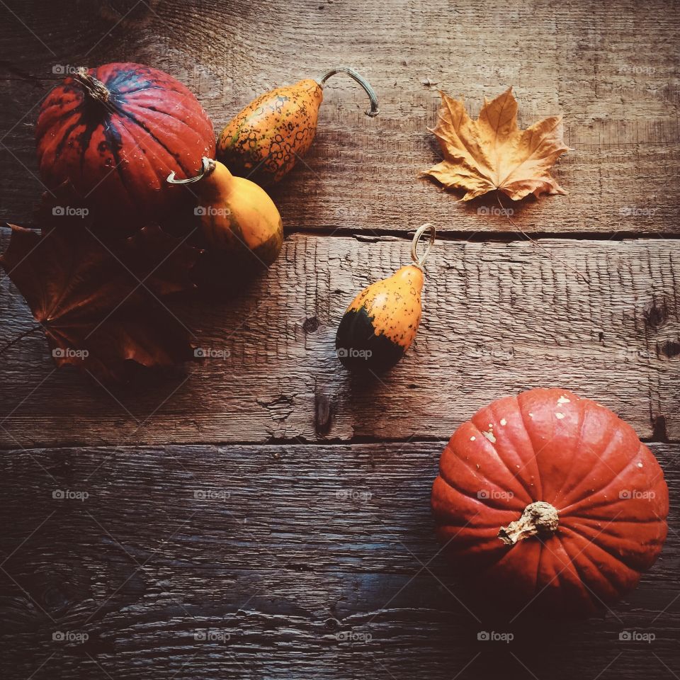 Autumn harvest of pumpkins on a wooden floor