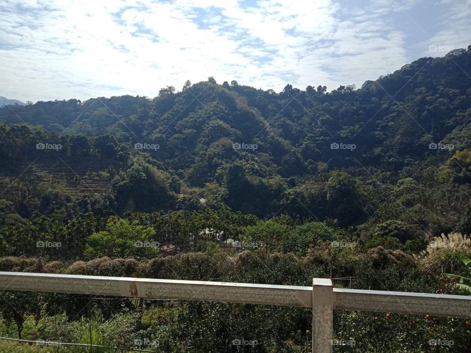 Fantastic Mountain View 