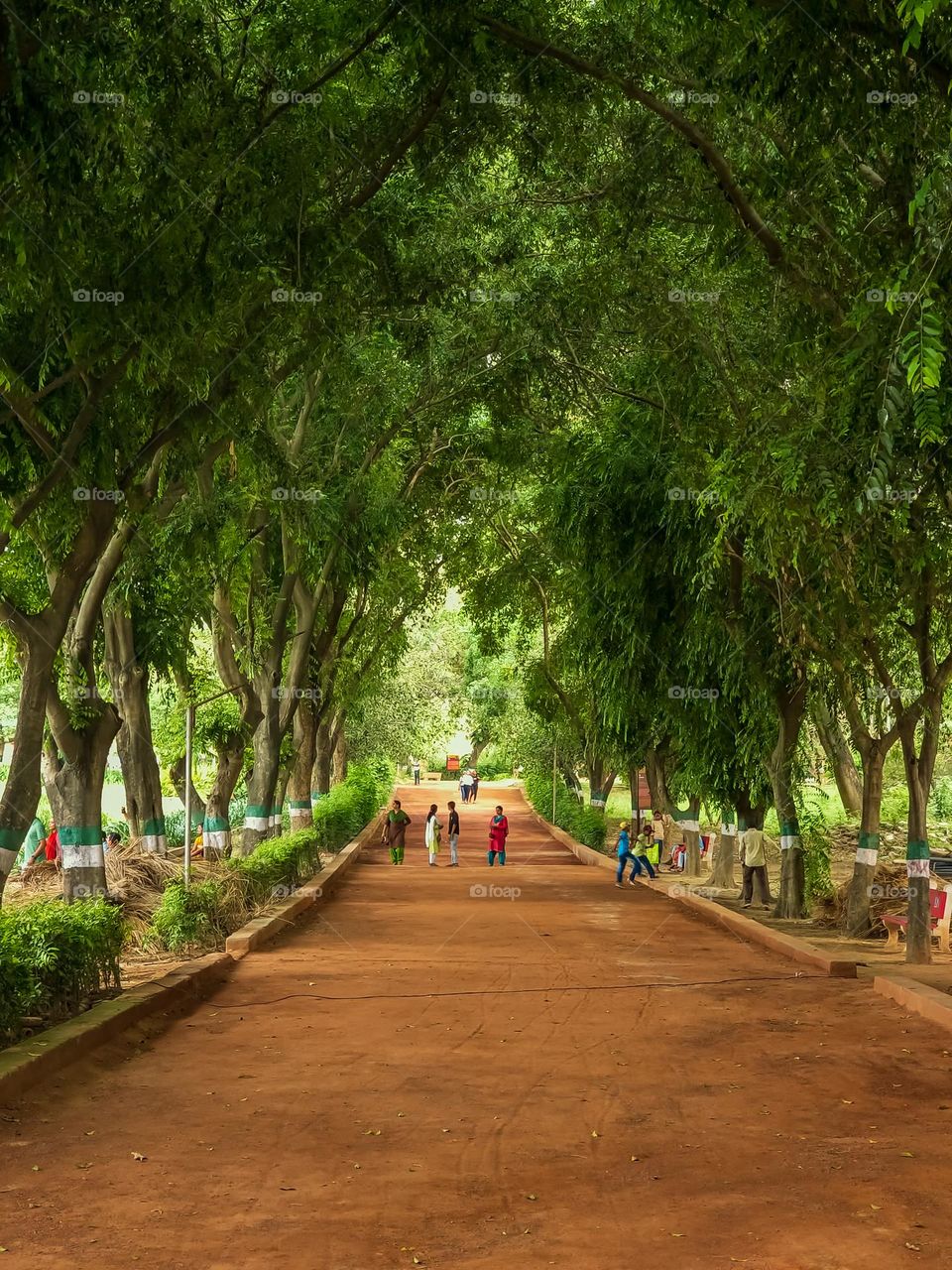 A beautiful landscape of road with side trees