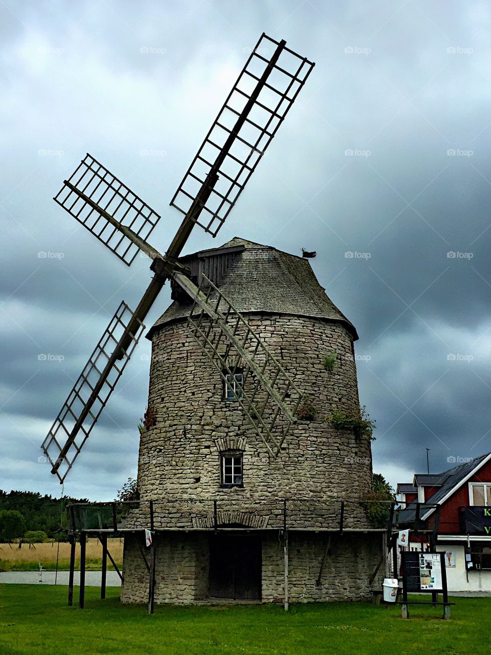 Windmills in nature! 